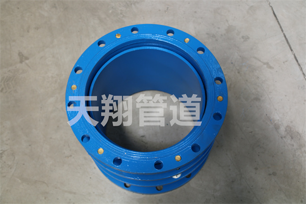 ���ɹ���s���^