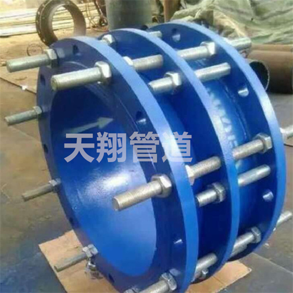 �ӱ���s���^